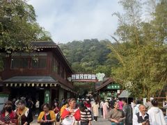 -野象谷景区
