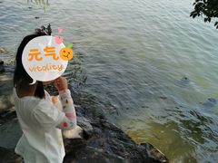 -苏堤停车场