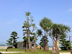 -横琴湾水世界