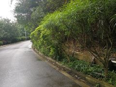 -大屏嶂森林公园