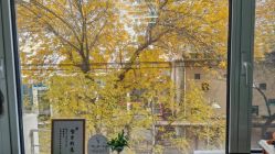 -养月堂中医养生月子会所(中心妇产店)