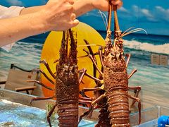 -喜宴又一村·粤菜·茶点·海鲜(壹方天地店)