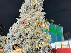 -首开·龙湖成都西宸天街