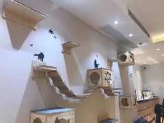 -Pets First伊珊娜洗护·精致美容·家庭式寄养(新会路店)
