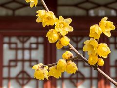 -西安化觉巷清真大寺