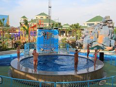 游乐设施-厦门方特梦幻王国