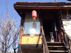 iphone_upload_pic-北京水岸山吧度假村(雁栖镇店)