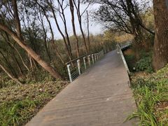 -西湖风景区-江洋畈生态公园