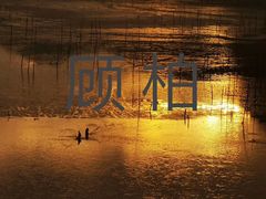 -北岐滩涂