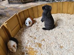 -南昌融创海世界