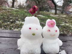 -梅花山(明孝陵内)