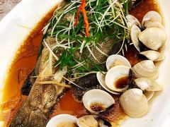 清蒸深海老虎斑-新兴家喻酒家·羊城名宴(昌岗店)