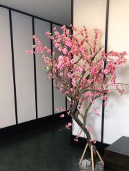 -凤绫儿亲子儿童摄影馆(上海店)