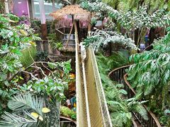 -正佳雨林生态植物园