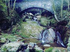 -藏龙百瀑风景区