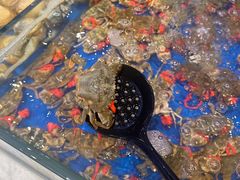 -川骄海鲜自助(河东店)