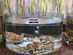 -新海利海鲜城·41年珠海老字号(夏湾店)