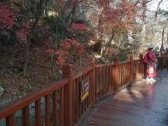 -崂山巨峰游览区