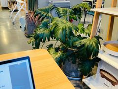 -dotcom coffee古点咖啡(致真大厦店)