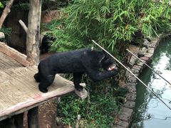 -长鹿旅游休博园