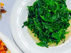 清炒豆尖-峨嵋酒家(地安门店)