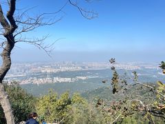 -紫金山山顶公园