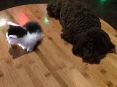 iphone_upload_pic-赢吧Bliss音乐酒吧