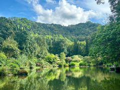 -深圳仙湖植物园