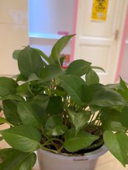 -北京俪婴妇产医院(朝阳大悦城店)