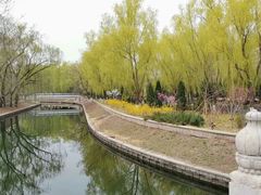 -滨河世纪广场公园