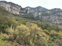 -九皇山景区