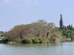 -海珠湖公园