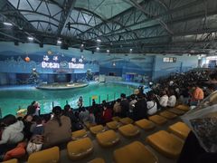 -苏州海洋馆