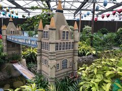 -南宫五洲植物乐园