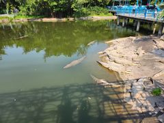 -广州长隆飞鸟乐园