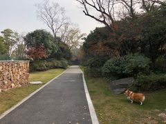 -桃花岛景观公园