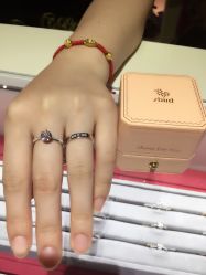 -Zbird钻石小鸟·钻戒婚戒定制高端珠宝私人定制中心