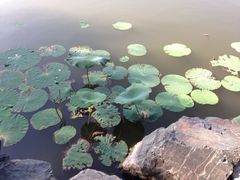 iphone_upload_pic-上海怡沁园度假酒店