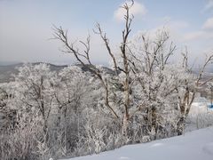 -长白山万达国际滑雪场