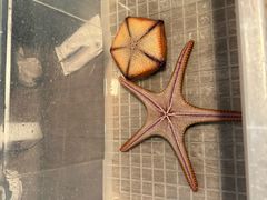 -太平洋海底世界