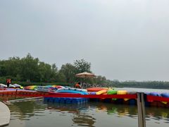 -大兴滨河森林公园