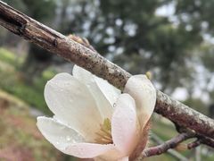 -普陀山风景名胜区-法雨禅寺
