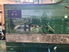 -鱼你相聚·河鲜馆(袁家岭店)