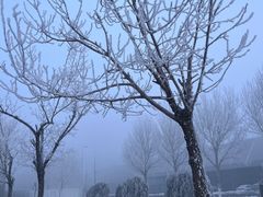 -华晨宝马铁西工厂