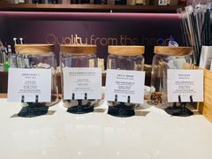 -Punchline Coffee&Roaster(同济大学店)