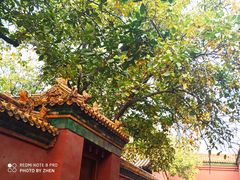 -比格比萨自助(新辰里学清路店)