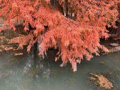 -白塘生态植物园