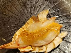 -黑松白鹿(崇文门新活馆店)