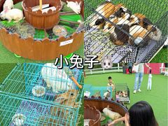 -熹乐谷温泉度假区