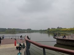 -东郊湿地公园